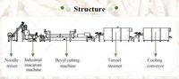 Double vis Die partie nouilles faire 100 kg/H 250kg 300 kg/H Spaghetti Penne Macaroni pâtes extrudeuse Machine usine