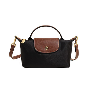 Sac bandoulière mini tendance avec sangle réglable pour femme, sacs à main, sacs fourre-tout à fermeture éclair en nylon imperméable, faible MOQ - Product Image 2