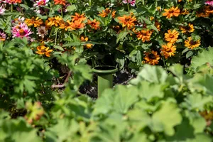 CITICITY เครื่องตรวจจับความชื้นในดิน เซ็นเซอร์แบบสองพิน ไฮโกรมิเตอร์สำหรับพืชในบ้าน สวน ฟาร์ม สนามหญ้า เครื่องมือทดสอบการดูแลพืช - Product Image 2