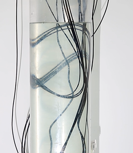 <span class=keywords><strong>Sensor</strong></span> de temperatura DS18B20 impermeable encapsulado <span class=keywords><strong>Digital</strong></span> DS18B20 <span class=keywords><strong>Sensor</strong></span> de temperatura de 1 cable con pantalla <span class=keywords><strong>LCD</strong></span> para pecera de acuario - Product Image 4