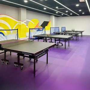 Mesa de Tenis de Mesa Plegable Móvil de Alta Densidad para Interiores, Estándar Doméstico, de Fibra de Madera, Grado Competición - Product Image 3