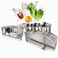 Automatische verse gemberwas- en schilmachine, kurkuma droog- en maalproductielijn, gemaakt in China