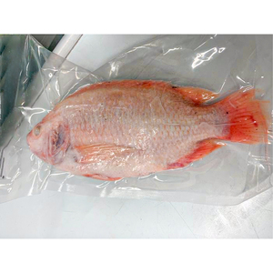 Tilapia roja congelada precio de la tilapia roja y negra - Product Image 5