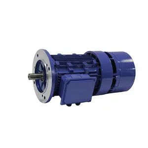 Motor de inducción de rotor bobinado 3 fases 1400 Rpm