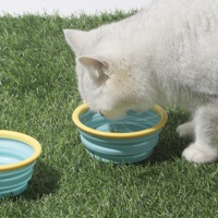 Bol pliable en silicone pour animaux de compagnie - Style coréen - Color-block - Mangeoire portable pour chiens et chats