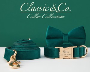 Personalized Dog <b>Bow</b> <b>Tie</b> Leash,Emerald Veet Collar With Engraved Name Metal Buckle,Wedding Puppy Gift,FREE Shipping - Product Image 3