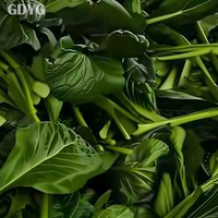 Verse en insectenvrije Pak Choi Bok Choy IQF diepvries uit China, premium kwaliteit |   Vers verwerkt voor export