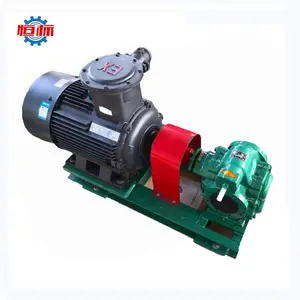 Bơm Bánh Răng Chạy Bằng Động Cơ Chạy Điện Bơm Chuyển Dầu Nhiên Liệu Xăng Diesel