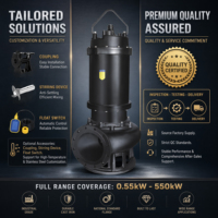 Pompe à eaux usées à haut débit WQ, pompe submersible de qualité industrielle, pompe à eau anti-colmatage, pompe de traitement des eaux usées liquides