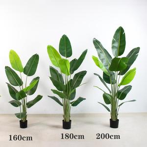Offres Spéciales : Plantes Artificielles Vertes, Palmiers Artificiels, Bananiers du Voyageur pour Décoration Intérieure et Hôtelière - Product Image 1