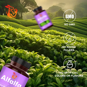 Cápsulas de Alfalfa Premium, Suplemento de Vitaminas y Minerales para el Cuidado de la Salud, Cápsulas de Apoyo Inmunológico - Product Image 5