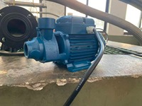 Pompa Peristaltik Listrik CGO PM45 untuk Rumah Tangga Tekanan Rendah 0.5 HP Impeller Kuningan Outlet 1 inci