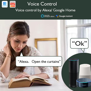 Cortinas Elétricas Motorizadas Inteligentes SZMYQ Tuya WiFi com Controle de Voz Alexa/Google, Capacidade de Carga de 46kg para Automação Residencial e de Escritório - Product Image 2