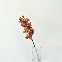 Arrangements floraux de rose et d'hortensia en soie marron d'automne pour décorations de scène de mariage et décor de salon