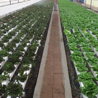 Système hydroponique à canal NFT en PVC de qualité alimentaire avec pente intégrée et support de charge lourde pour l'agriculture en serre