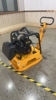 Compacteur de plaques portable à moteur essence, vente en gros, directement de l'usine