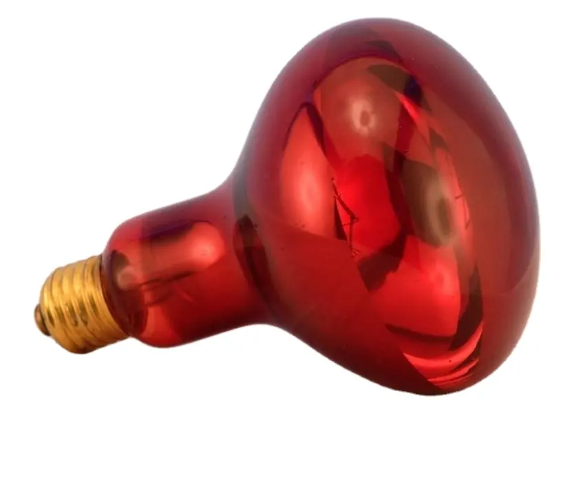 Lampe fluorescente led pour reptile tropical, lumière du jour/rednight