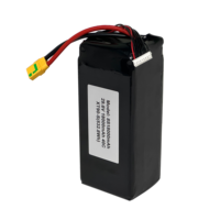 Batterie Lipo Mason Power 8S 29.6V 18000mAh 40C pour drone haute vitesse avec connecteur Amass XT90S
