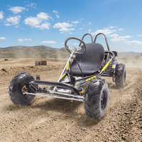 Buggy Todoterreno de Gasolina de Grado Industrial con Componentes de Alta Resistencia, Velocidad Máxima de 60 km/h para Uso Comercial