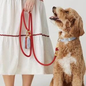 Guinzaglio per Cani Personalizzato con Logo, Set Premium di Lusso con Corda Morbida e Sacchetto per Escrementi - Product Image 2
