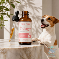 OEM ODM Merek Proprietary Cairan Kolagen untuk Anjing, Mendukung Imunitas, Mudah Diserap, Mendukung Kesehatan Kulit & Bulu