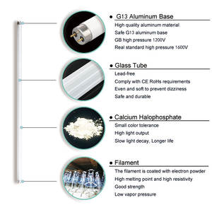Koude Witte G13 36W 12000K 220V <span class=keywords><strong>T5</strong></span> 36W 8W Fluorescerende Lichtbuis - Product Image 6