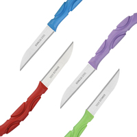 Lot de 4 couteaux de cuisine à manche coloré pour fruits et légumes, petits couteaux à steak et couteaux à éplucher en acier inoxydable monochrome, best-seller arc-en-ciel