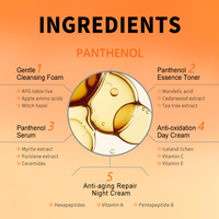 Usine OEM Panthenol ensemble complet de soins de la peau nettoyage en douceur nettoyant pour le visage kit de soins de la peau hydratant vitamine b5 ensemble de soins de la peau