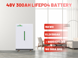 CERRNSS 15KWh Solar Energy Storage System <b>48V</b> 100Ah Lithium <b>Battery</b> Pack 51.2V 200Ah 280Ah 314Ah Floor Standing <b>Battery</b> - Product Image 1