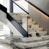 Chine Usine Italien Unique Veine Pierre Naturelle Argent Astérix Granit Poli Intérieur Plancher Escalier Étape Antidérapant