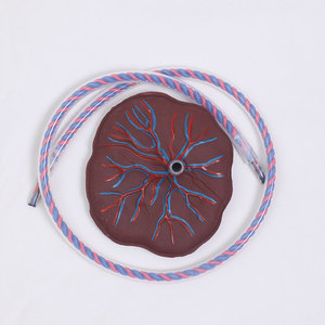 Darhmmy โมเดลรก PVC คุณภาพสูงพร้อมสายสะดือวิทยาศาสตร์การแพทย์สำหรับการฝึกพยาบาลในโรงพยาบาลและโรงเรียน - Product Image 5