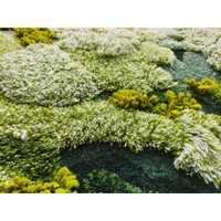 Tapis de sol en peluche unique de haute qualité, décoration moderne pour la maison, paysage forestier 3D doux, fait à la main, imprimé à la machine, respectueux de l'environnement