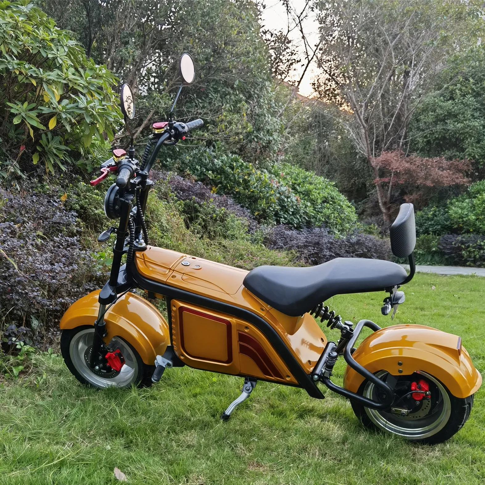 Vendita calda a buon mercato piccolo Scooter elettrico ciclomotore 1000W motociclo elettrico con pedali assistente