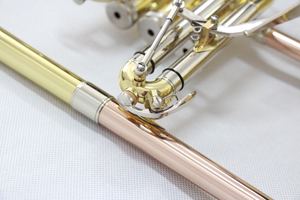 Focus FFG-200L เครื่องดนตรีทองเหลืองแบบมืออาชีพเคสแบบพกพาสีทองแลคเกอร์ - Product Image 3