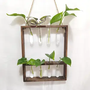 植物传播管壁挂植物玻璃容器，带木制支架迷你试管花瓶植物玻璃花盆
