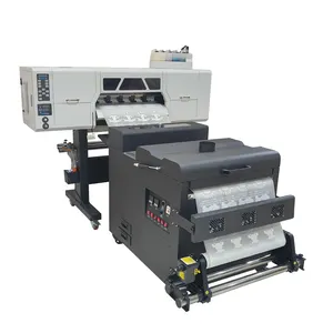 Inqi 2024 New Type 60cm DTF PET Film Printer With XP600 Or I3200 Head For Clothing Printing