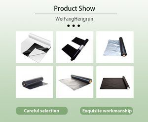 Hrq Nhà máy cung cấp SS-03 mẫu miễn phí đục lỗ LDPE thổi đúc nhà kính làm vườn điều khiển mulch phim nông nghiệp sử dụng - Product Image 2