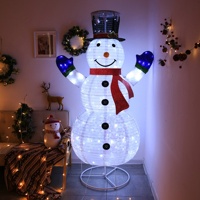 Guirlandes lumineuses à led avec batterie de 31V, lumière blanche chaude et froide, pour mariage et noël