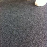 Tapis de velours pour l'exposition d'événement d'exposition d'hôtel de mariage et d'autres endroits