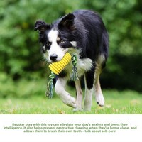 Jouets pour chiens les plus vendus : bâtonnets à mâcher, os dentaires durables, brosses à dents, sangles et cordes en maïs