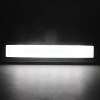 Éclairage LED pour hotte de cuisine professionnelle, lampe LED de remplacement étanche IP44 à bande longue DC12V