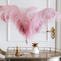 Plumes d'autruche rose clair teinte, 50-55cm, de haute qualité, unités
