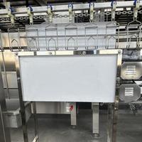 Machine à plumer les poulets en acier inoxydable, équipement de traitement de la volaille pour l'élimination des plumes