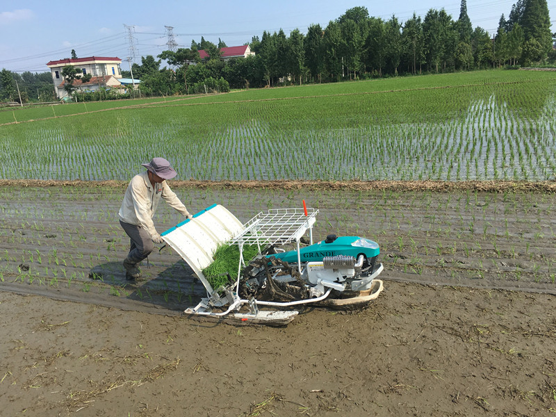 歩行型手押し田植機 4条植え| Alibaba.com