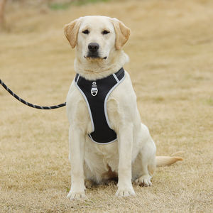 Imbracatura per gatti di Design personalizzato con colletto abbinato al guinzaglio papillon e Bandana Set gilet in Neoprene <span class=keywords><strong>XL</strong></span> reversibile per cani - Product Image 4