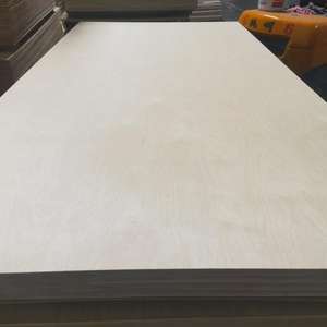 Contrachapado Fenólico de Primera Clase con Núcleo de Abedul E0 de 1525x2500 mm, Resistente al Agua, Paneles Completos de Abedul Modernos de 20 mm para Armario - Product Image 6