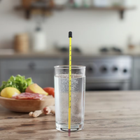 Kerelab Top Design ODM Thermomètre à alcool en verre personnalisable avec liquide rouge