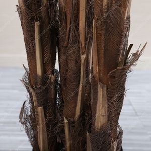 ร้อนขายห้องนั่งเล่นต้นปาล์มประดิษฐ์ต้นไม้พลาสติกบอนไซโรงงานโฮมออฟฟิศpaliardinoประดิษฐ์วันที่ต้นปาล์มme da g - Product Image 4