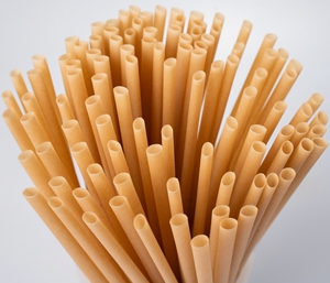 Pajitas Biodegradables de Caña de Azúcar de 200 mm, 8 mm de Diámetro Interior, Desechables, Estilo Minimalista para Fiestas - Product Image 1
