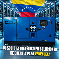 Générateur diesel Weichai Ricardo 100 kVA 250 kVA avec ATS pour la maison, 380 Volts, marque américaine, pour le Venezuela